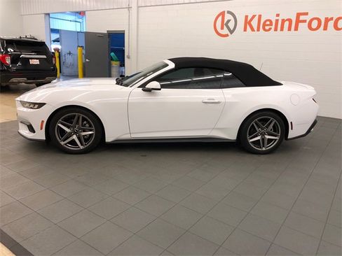 Used 2024 Ford Mustang Premium image 2