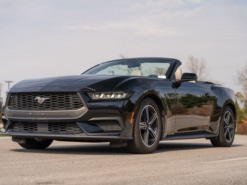 Used 2024 Ford Mustang Premium image 6