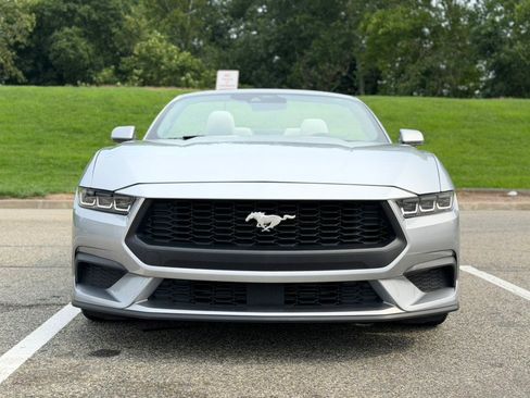 Used 2024 Ford Mustang Premium RWD image 2