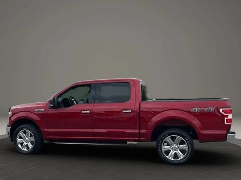 Used 2019 Ford F150 XLT w/ Equipment Group 302A Luxury AWD/4WD image 2