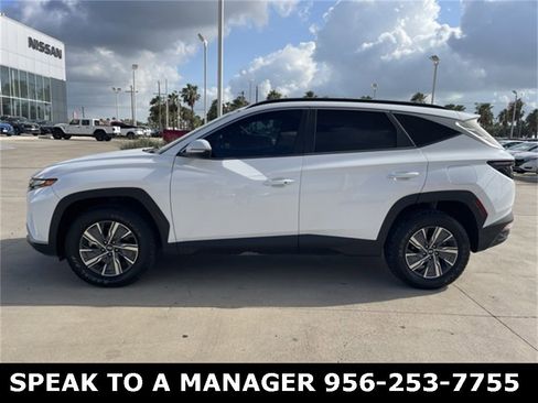 Used 2022 Hyundai Tucson Blue image 2