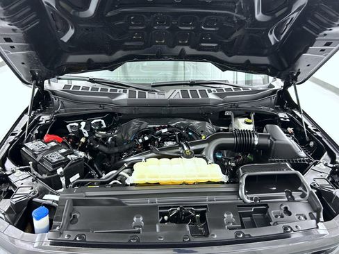 Used 2025 Ford F150 XLT w/ Equipment Group 301A Standard image 24