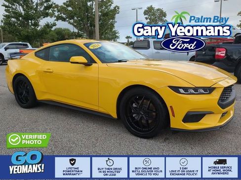 Used 2024 Ford Mustang Premium image 1