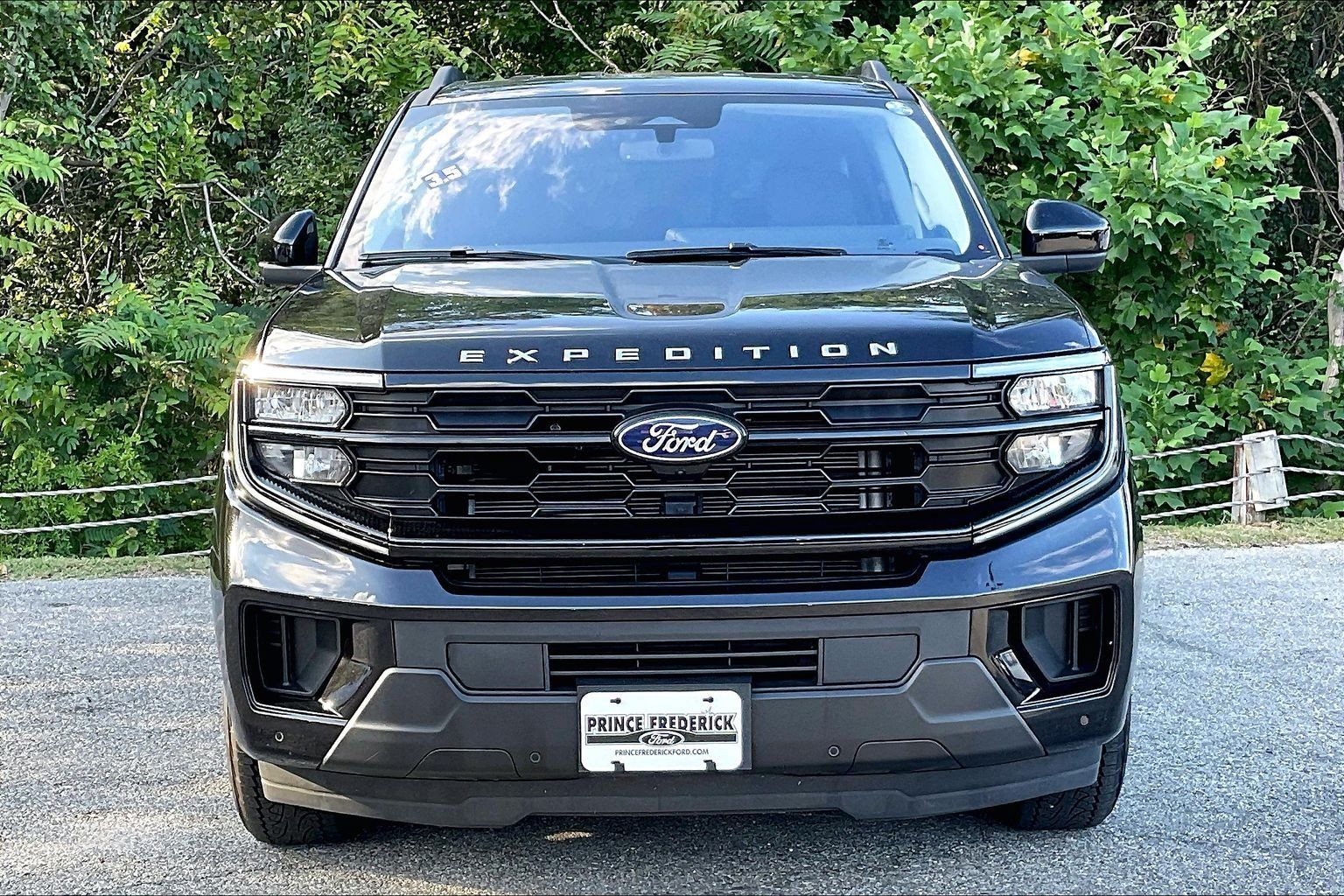 Used 2025 Ford Expedition Active AWD/4WD image 2