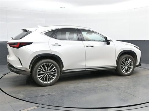 Used 2025 Lexus NX 350h AWD w/ Premium Package image 8