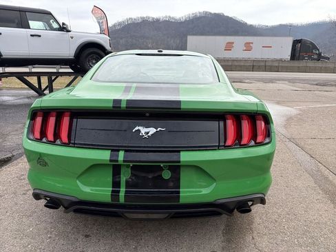 Used 2019 Ford Mustang Coupe RWD image 5