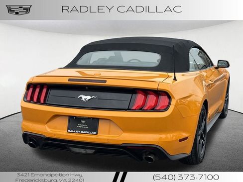 Used 2019 Ford Mustang Premium image 18