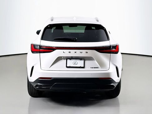 Certified 2025 Lexus NX 250 250 Premium image 6