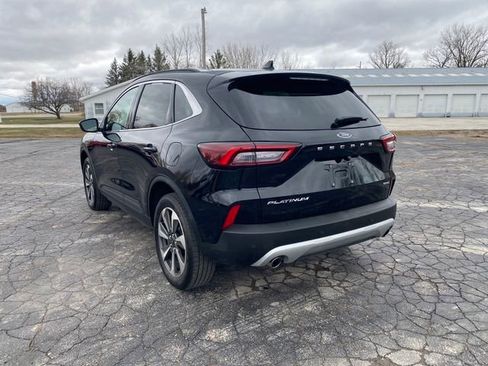Used 2025 Ford Escape Platinum image 6