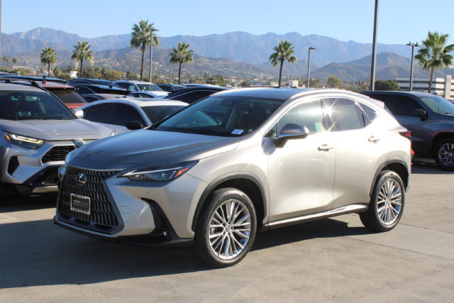 Certified 2025 Lexus NX 350h AWD w/ Accessory Package (2T) image 3