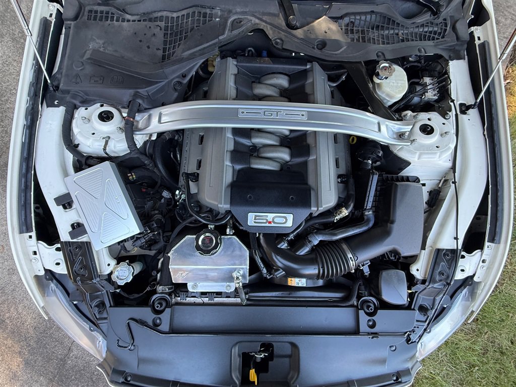 Used 2015 Ford Mustang 50 Years RWD image 73