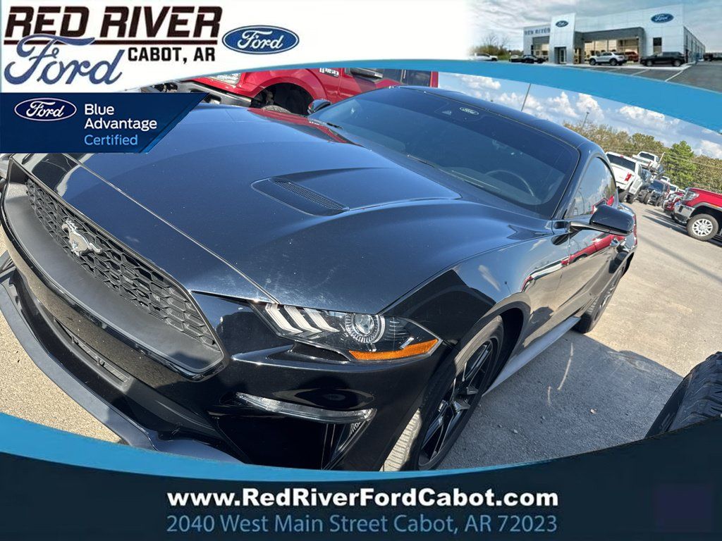 Used 2023 Ford Mustang Coupe w/ Equipment Group 101A RWD image 1