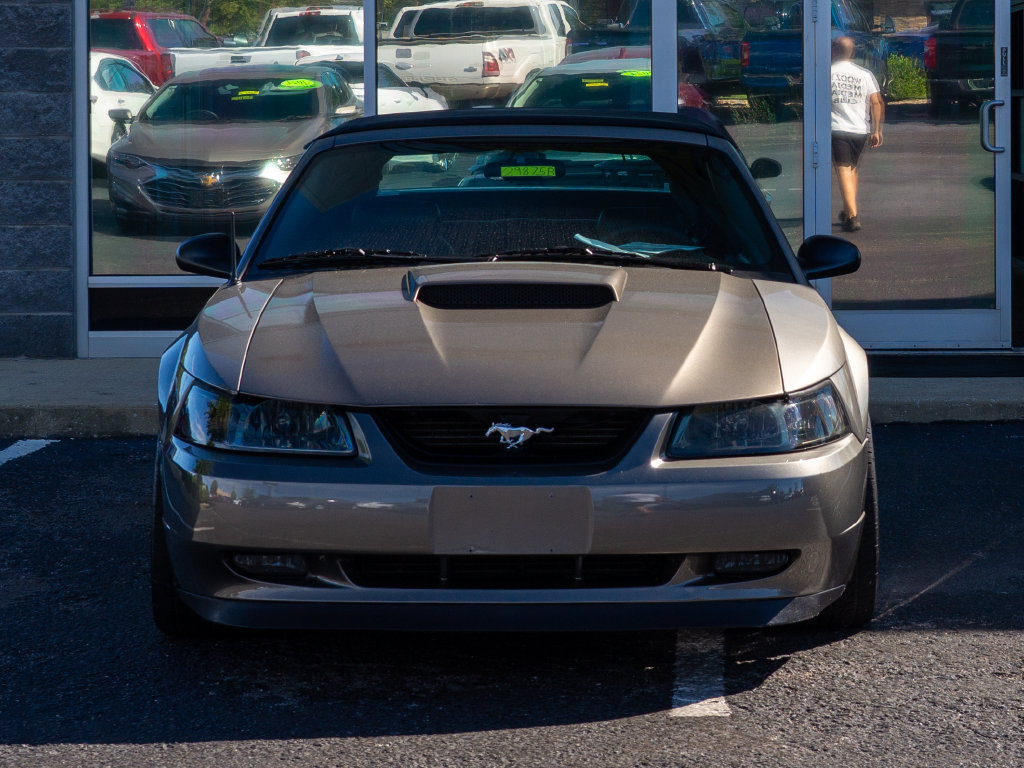 Used 2002 Ford Mustang GT RWD image 7