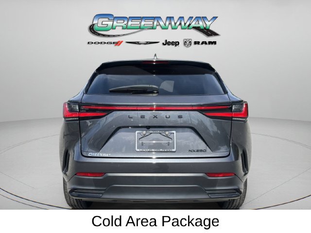 Used 2025 Lexus NX 250 FWD w/ Cold Area Package image 4