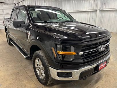 Used 2025 Ford F150 XLT w/ Equipment Group 301A Standard