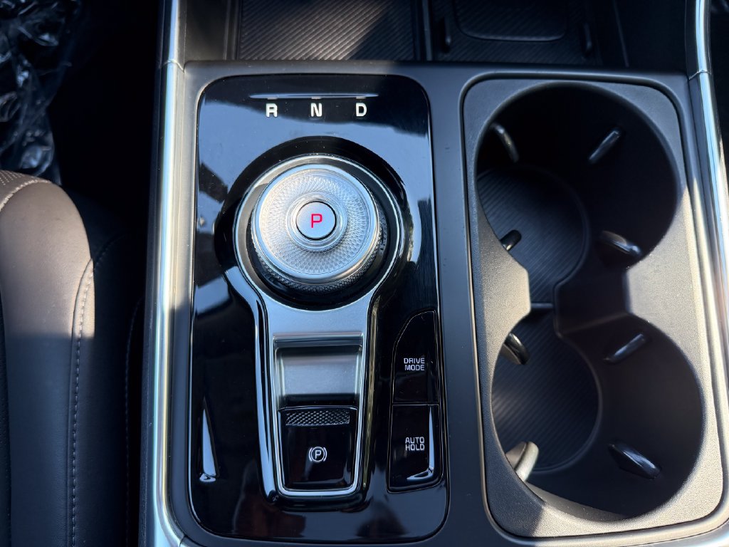 Used 2025 Kia Carnival SX w/ SX Dark Edition Package FWD image 21