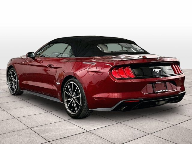 Used 2019 Ford Mustang Premium w/ Equipment Group 201A RWD image 10
