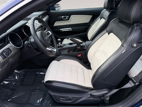 Used 2015 Ford Mustang 50 Years image 9