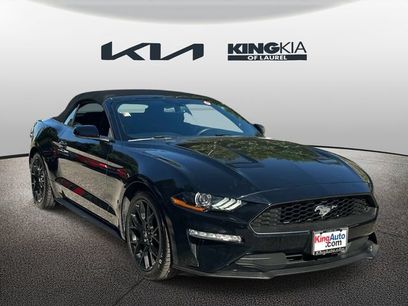 Used 2018 Ford Mustang Convertible w/ Ecoboost Performance Package