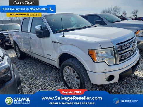 Used 2011 Ford F150 Platinum AWD/4WD image 5