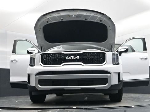 New 2025 Kia Telluride EX image 24