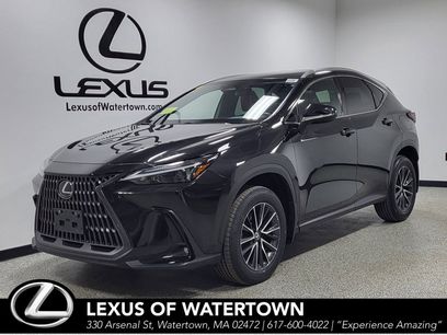 Certified 2024 Lexus NX 350 AWD w/ Cold Area Package