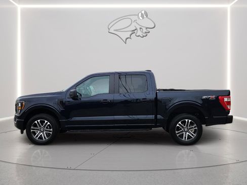 Used 2023 Ford F150 XL w/ STX Appearance Package AWD/4WD image 2