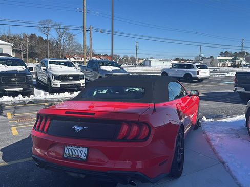Used 2018 Ford Mustang Premium w/ Equipment Group 201A image 9