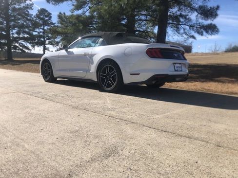 Used 2023 Ford Mustang Premium image 8