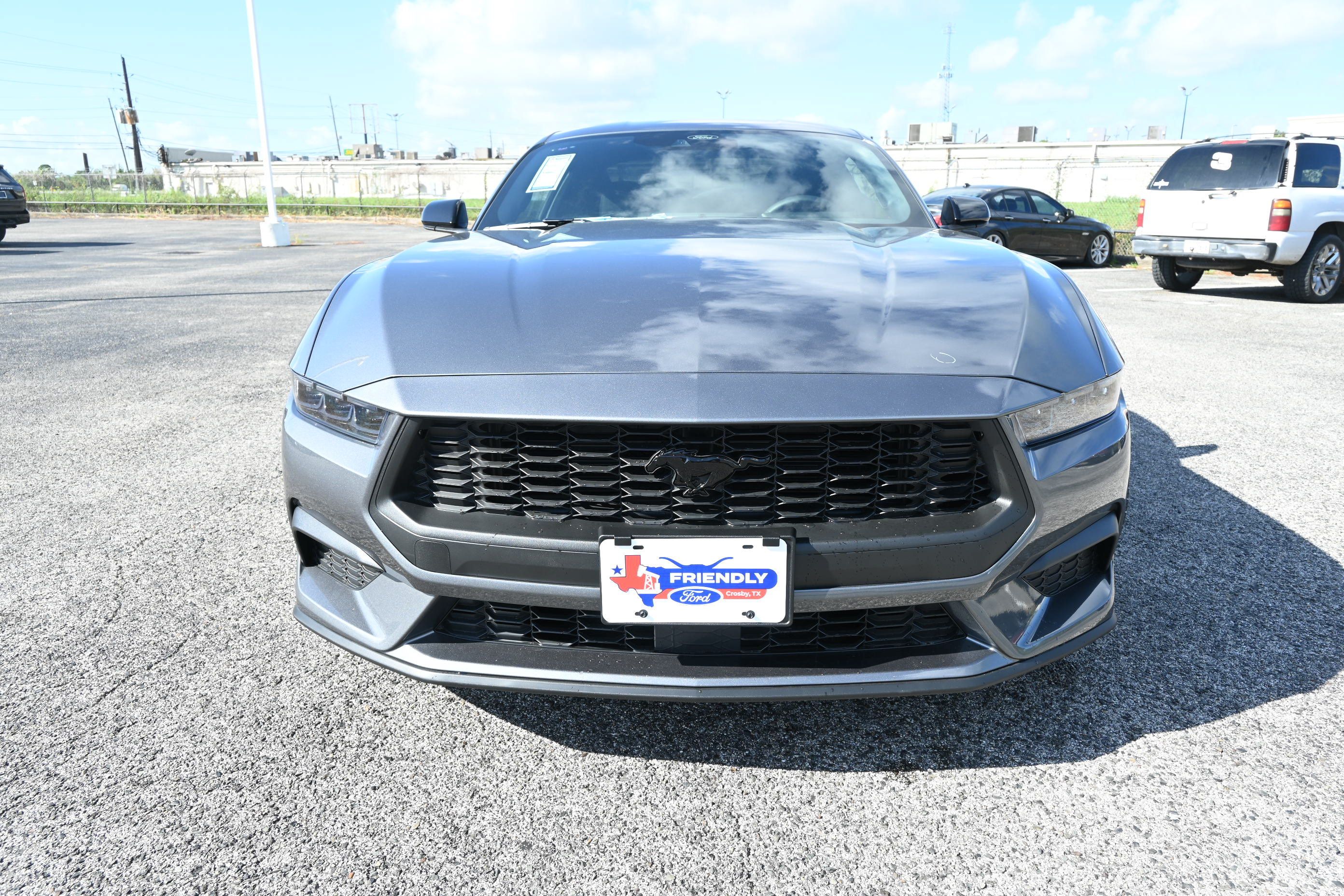New 2026 Ford Mustang Coupe w/ Mustang Nite Pony Package RWD image 8
