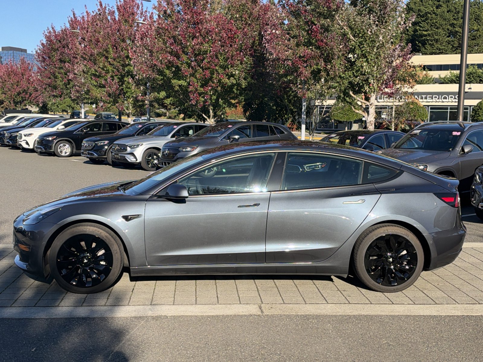 Used 2021 Tesla Model 3 Standard Range Plus RWD image 8