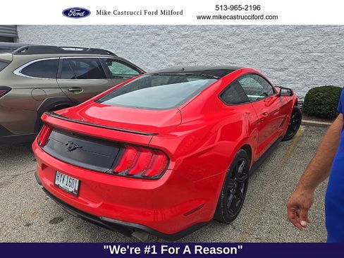 Used 2019 Ford Mustang Coupe w/ Equipment Group 101A RWD image 4