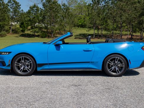 Used 2024 Ford Mustang Premium image 14