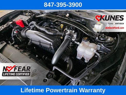 Used 2024 Ford Mustang EcoBoost image 48