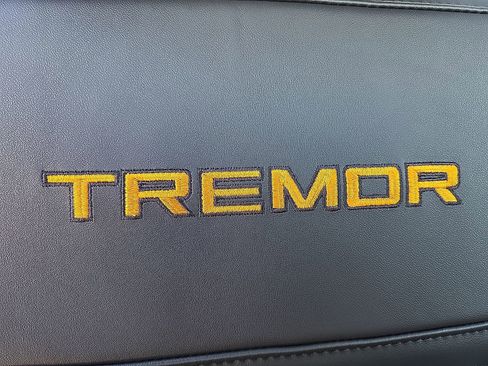 New 2026 Ford Expedition Tremor image 7