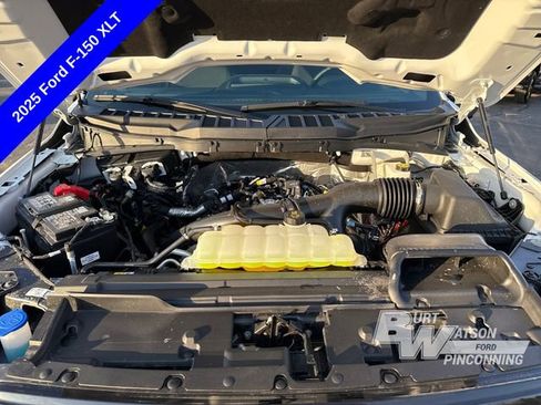 New 2025 Ford F150 XLT w/ Equipment Group 302A MID AWD/4WD image 17