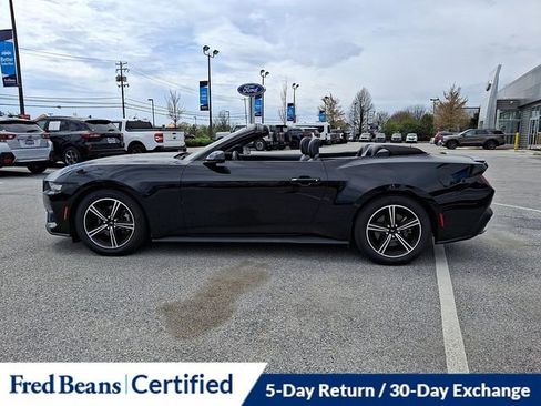 Certified 2024 Ford Mustang Premium RWD image 7