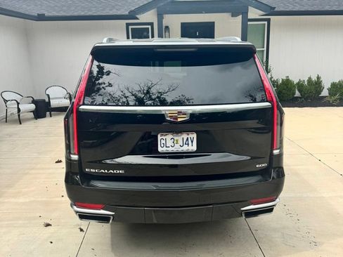 Used 2024 Cadillac Escalade Premium Luxury Platinum AWD/4WD image 6
