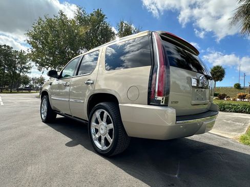 Used 2010 Cadillac Escalade Premium image 7