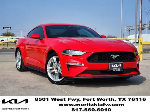 Used 2021 Ford Mustang Premium w/ Equipment Group 201A image 1