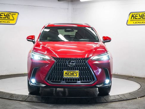 Used 2024 Lexus NX 350 Premium image 6