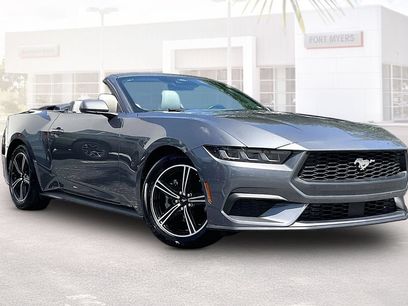 Used 2024 Ford Mustang Premium