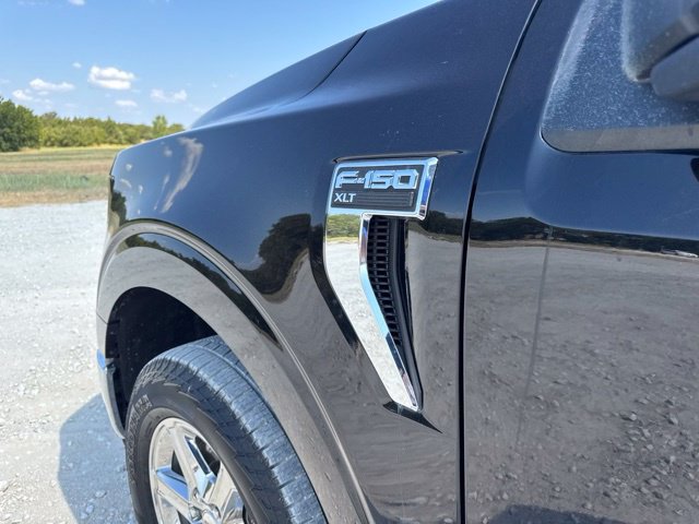 Used 2025 Ford F150 XLT w/ Equipment Group 301A Standard RWD image 7