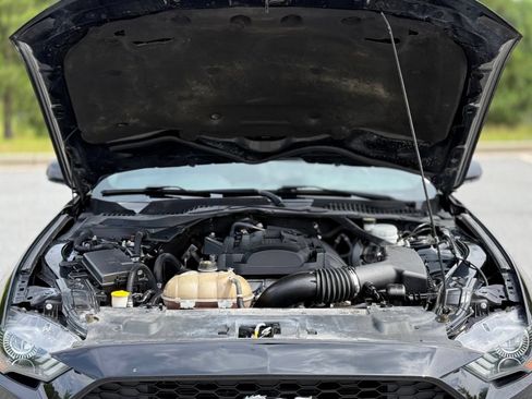 Used 2019 Ford Mustang Premium w/ Equipment Group 201A RWD image 44