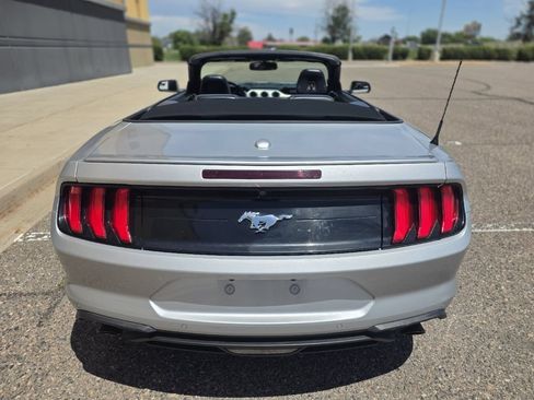 Used 2019 Ford Mustang Premium RWD image 6