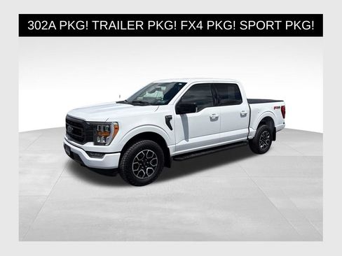 Used 2023 Ford F150 XLT w/ Equipment Group 302A High AWD/4WD image 1