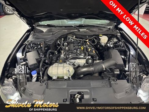 Used 2022 Ford Mustang Coupe image 10
