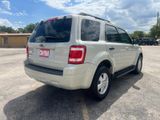 Used 2008 Ford Escape XLT image 6