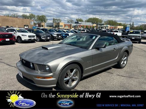 Used 2008 Ford Mustang GT Premium RWD image 1