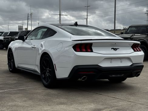 New 2026 Ford Mustang Premium w/ Mustang Nite Pony Package image 8